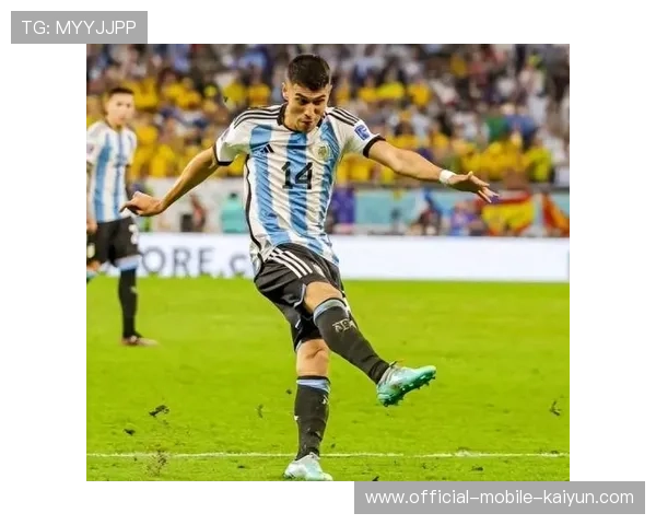 恩佐组织能力再升级,阿根廷中场稳定性增强